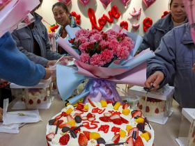 金年会网页版举办三八妇女节活动